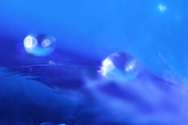 краплі води на синьому фоні, який лежить на блискучому синьому фоні
  - Фото, зображення
