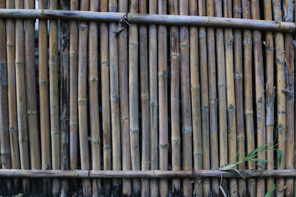 Natural bamboo background - Photo, Image