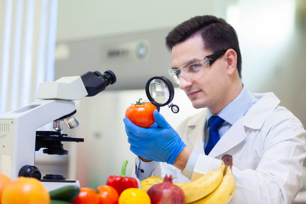 Laboratory worker examining fruits and vegetables and making analysis for pesticides and nitrates. - Foto, Bild