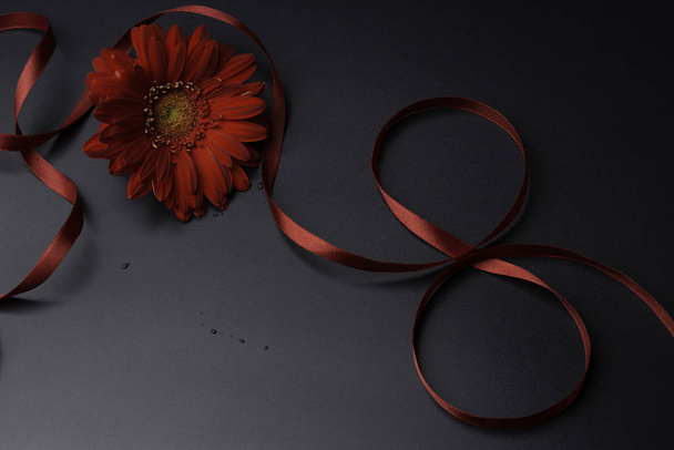 Red flower on a black background with a ribbon in the form of number 8 - Photo, image