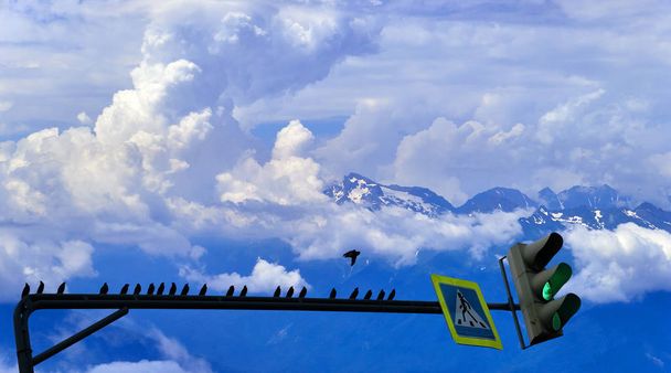 Koncepční pohled na zelené semafory se siluetami tmavých ptáků na pozadí horských mraků Černého moře u Soči - Fotografie, Obrázek