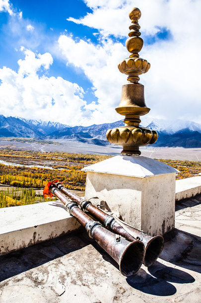 Monasterio de Thiksey, Ladakh, India
 - Foto, imagen