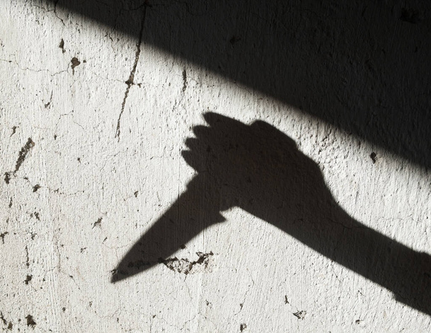 Shadow of the hand holding a big sharp knife. Murderer, killer or robber with a knife. Criminal. Crime. Horror scene. - Photo, Image