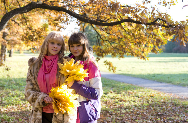 δύο όμορφα κορίτσια στο πάρκο φθινόπωρο - Φωτογραφία, εικόνα