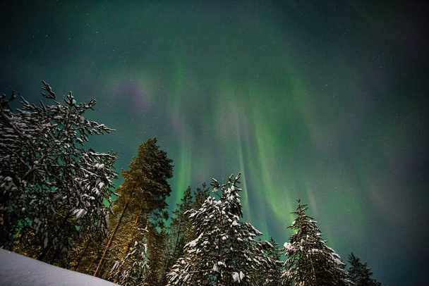 Északi fények Finnország Paljakka Puolanka - Fotó, kép