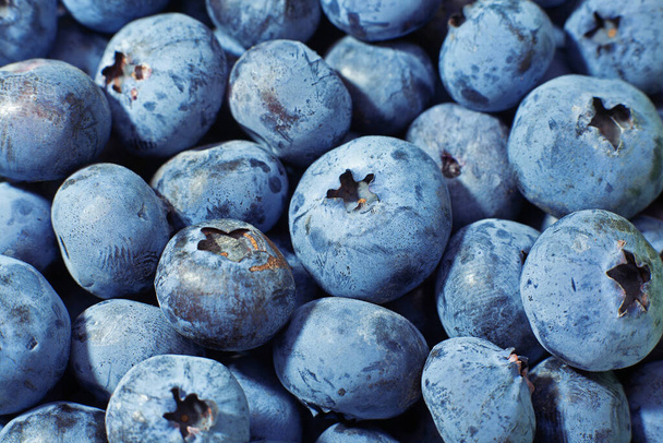 Ripe blueberry berries closeup horizontal background - Foto, afbeelding