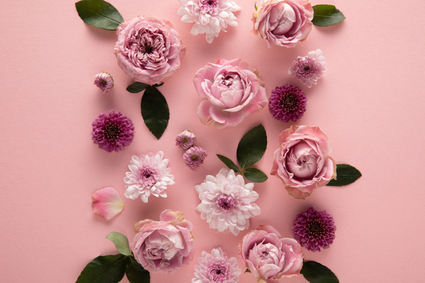 вид цветущих весенних цветов на розовом фоне
 - Фото, изображение
