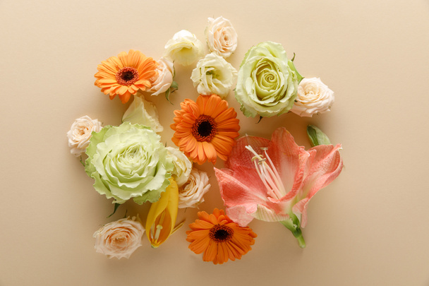 Bej arkaplanda bahar çiçeklerinin üst görünümü - Fotoğraf, Görsel