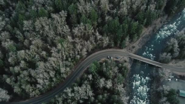 Vlieg over het Canadese bos, kronkelende weg en een brug over de rivier - Video