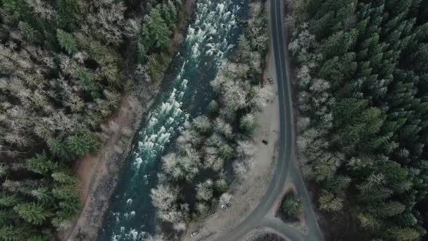 Vista de arriba hacia abajo del camino solitario en medio del bosque con el río en medio
 - Imágenes, Vídeo