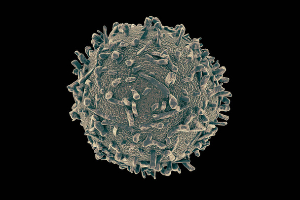 Τα λευκά αιμοσφαίρια (Wbcs), που ονομάζονται επίσης λευκοκύτταρα ή λευκοκύτταρα, είναι τα κύτταρα του ανοσοποιητικού συστήματος που εμπλέκονται στην προστασία του σώματος από μολυσματικές ασθένειες και ξένους εισβολείς. (Wikipedia) - Φωτογραφία, εικόνα