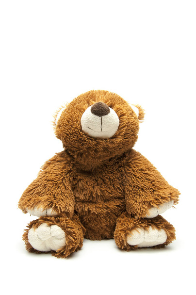 Bonito oso marrón. El juguete es suave. Peluche. Hocico. Orejas de patas y cabeza. Sobre fondo blanco
 - Foto, Imagen