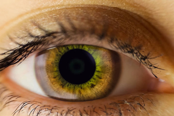 The human female eye is light brown. Eye close - Photo, Image