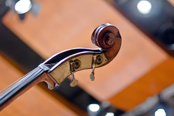 Контрабасы на сцене. Струнный инструмент. Violin.Cello
 - Фото, изображение