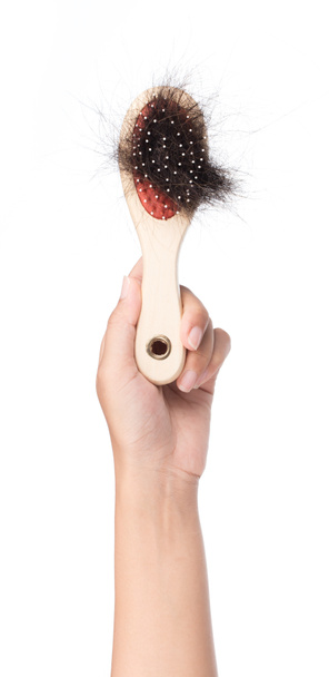 hand holding round hair brush with lost hair, isolated on white background - Photo, Image