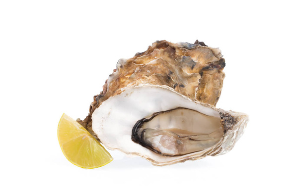 Fresh oyster with slice lemon isolated on white background - Photo, Image