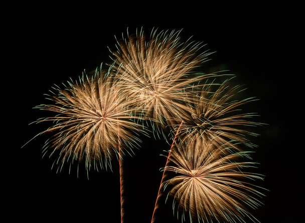 όμορφη έκρηξη πυροτεχνημάτων τη νύχτα. Αντιπροσωπεύει μια γιορτή. - Φωτογραφία, εικόνα
