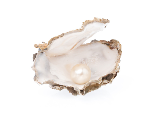 Ostrica aperta con perla isolata su fondo bianco
 - Foto, immagini