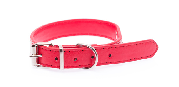Un collar de perro rojo aislado sobre un fondo blanco
 - Foto, Imagen