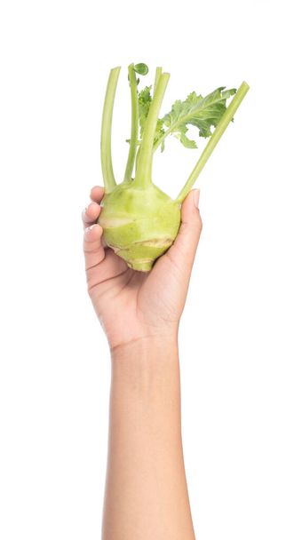 mano sosteniendo kohlrabi fresco (Brassica oleracea) aislado sobre fondo blanco
 - Foto, imagen