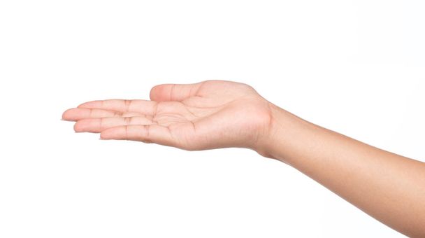 hand palm up isolated on white background - Photo, Image