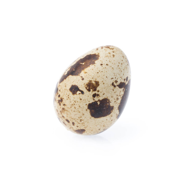 Перепелиное яйцо на белом фоне - Фото, изображение