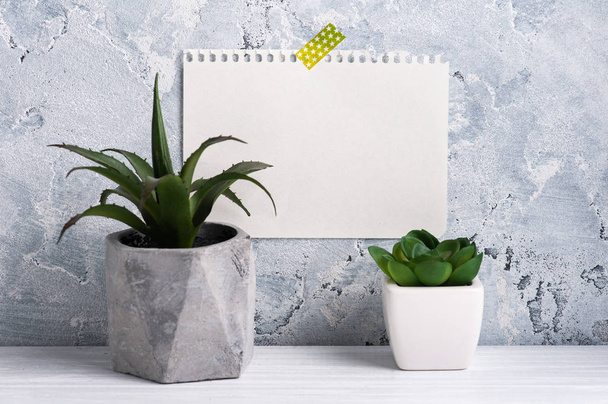 Blank paper taped to concrete wall. Green succulents on white table as decor in scandinavian style. Copy space for to do list - Photo, Image