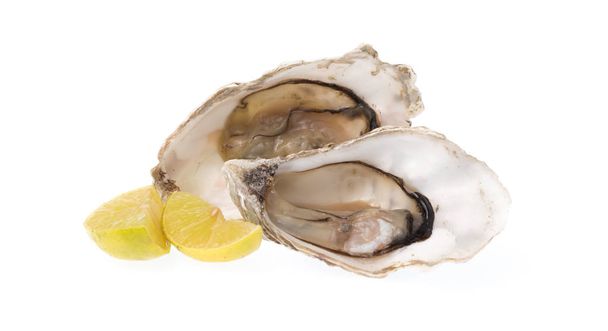 Fresh oyster with slice lemon isolated on white background - Foto, Imagem