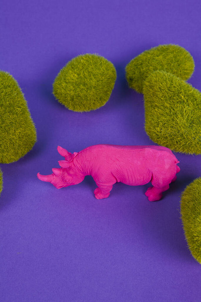  Růžový fuschia nosorožec mezi mechem skály posazené na purpurovém pozadí. Popová atmosféra. minimální barva fotografie zátiší  - Fotografie, Obrázek