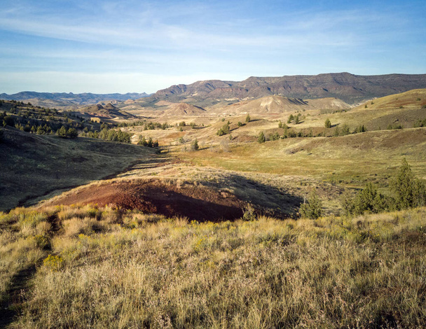 Incredibili cumuli di argilla rossa e oro in un parco con vegetazione alberi colline e un bel cielo blu e bianco sul Red Scar Knoll / Red Hill Trail al John Day Fossil Beds in Oregon
 - Foto, immagini