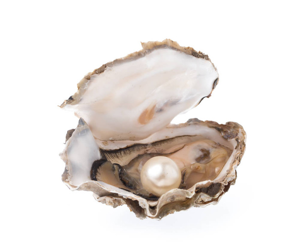 Huître ouverte avec perle isolée sur fond blanc
 - Photo, image