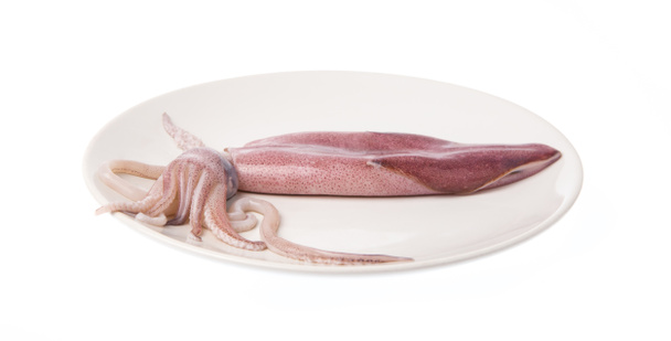 Calamari freschi su un piatto isolato su sfondo bianco
 - Foto, immagini