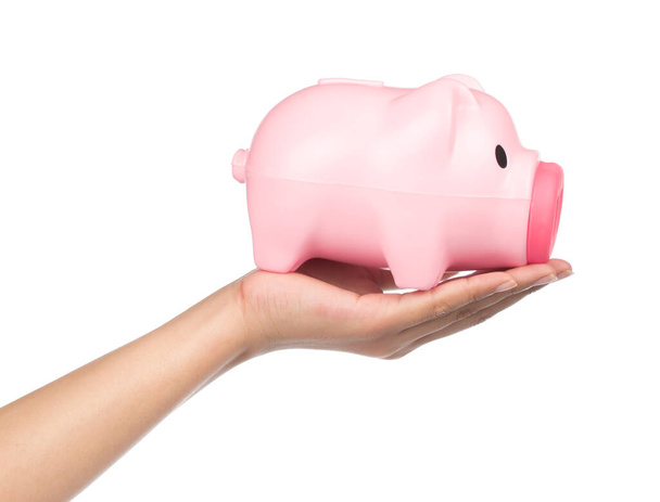 hand holding Piggy bank style money box isolated on white background - Photo, image