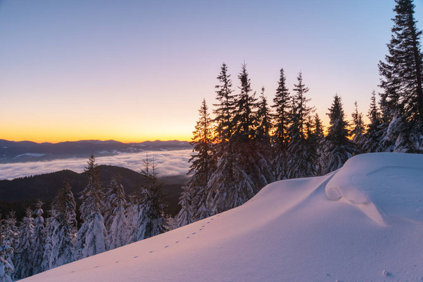 Górskie krajobrazy zimowe w Karpatach - Zdjęcie, obraz