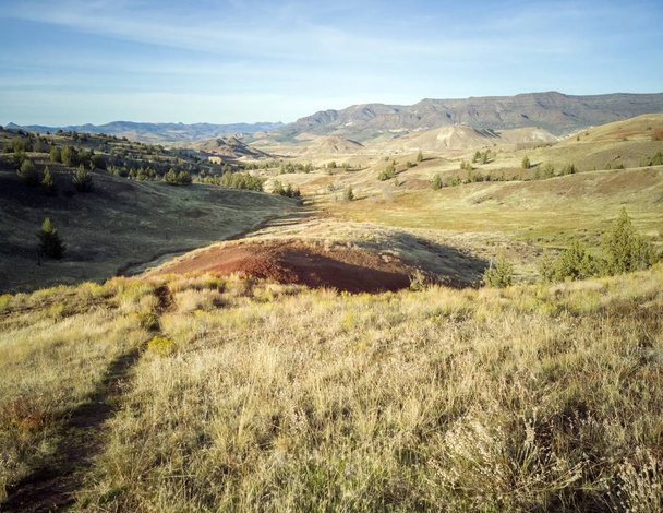 Montes de barro vermelho e dourado incríveis em um parque com árvores de colinas de vegetação e um belo céu azul e branco no Red Scar Knoll / Red Hill Trail no John Day Fossil Beds em Oregon
 - Foto, Imagem