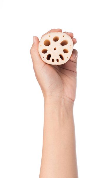 Hand hält Scheibe Lotuswurzel isoliert auf weißem Hintergrund - Foto, Bild
