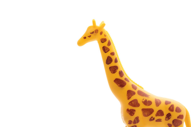 Žirafa z umělé hmoty. zvířecí hračka izolované na bílém pozadí - Fotografie, Obrázek