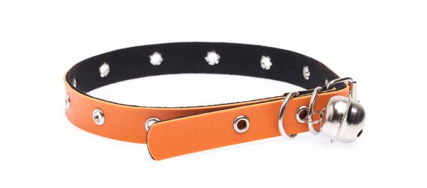 Orange leather dog collar isolated on white background - Photo, Image