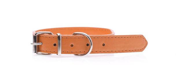 A brown dog collar isolated on a white background - Photo, Image