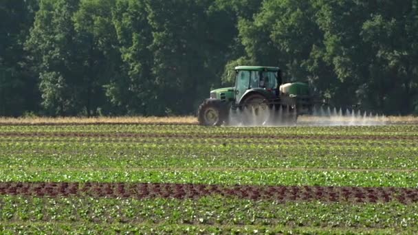 Tractor werkt op het gebied van sla plantage buiten, sproeiveld, machines voor het drenken, irrigatie. Vervuiling, chemicaliën, pesticiden, insecticiden - Video