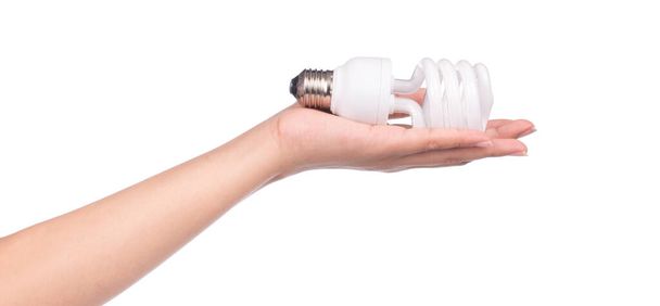 main tenant ampoule lumineuse isolée sur fond blanc
 - Photo, image