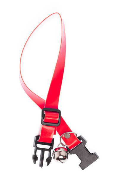 ein rotes Hundehalsband isoliert auf weißem Hintergrund - Foto, Bild