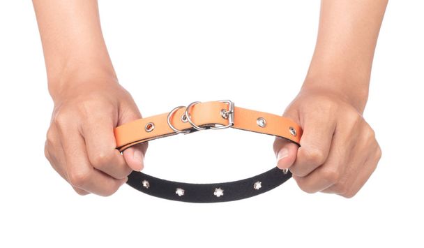 Hand hält orangefarbenes Leder-Hundehalsband isoliert auf weißem Hintergrund - Foto, Bild