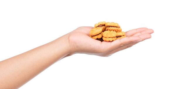 hand holding cookie isolated on white background - Photo, image