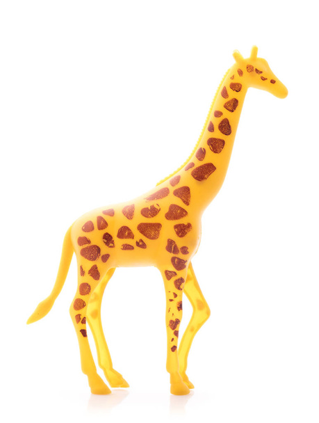 giraffe made out of plastic. animal toy isolated on white background - 写真・画像