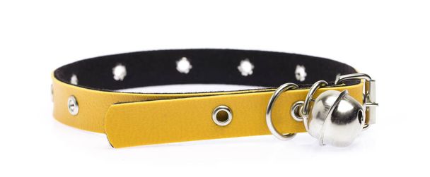 Collar de perro de cuero amarillo aislado sobre fondo blanco
 - Foto, imagen