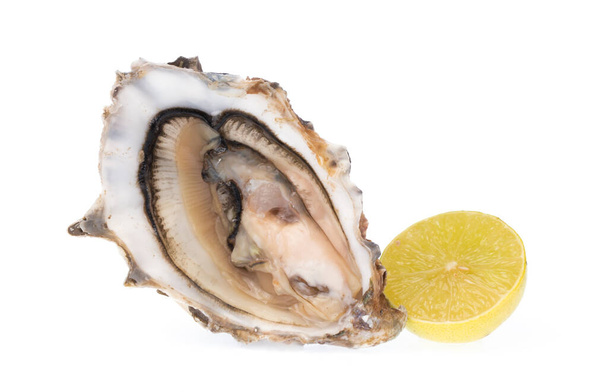 Verse oester met schijfcitroen geïsoleerd op witte achtergrond - Foto, afbeelding