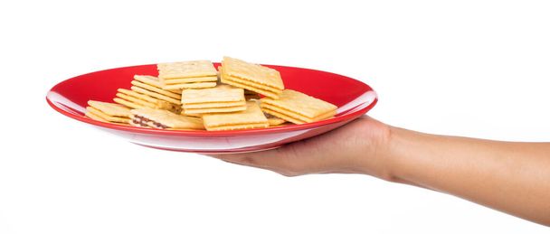 hand holding dish of Tasty biscuits isolated on white background - Photo, Image