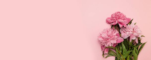 Mooie frisse roze pioenrozen op een roze achtergrond met een copyspace - Foto, afbeelding