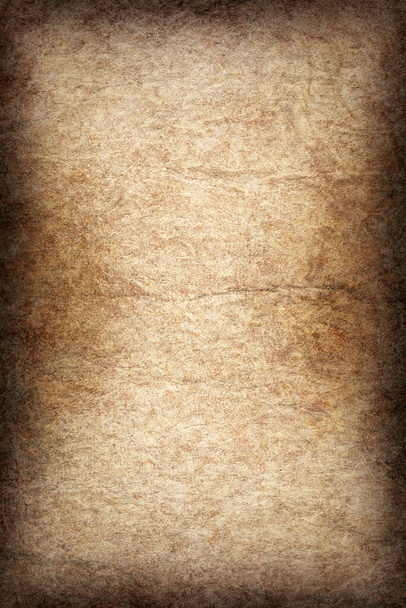 Hochauflösendes Antique Animal Skin Pergament, grobe Körnung, aufgeweicht, Vignette Grunge Textur Probe. - Foto, Bild